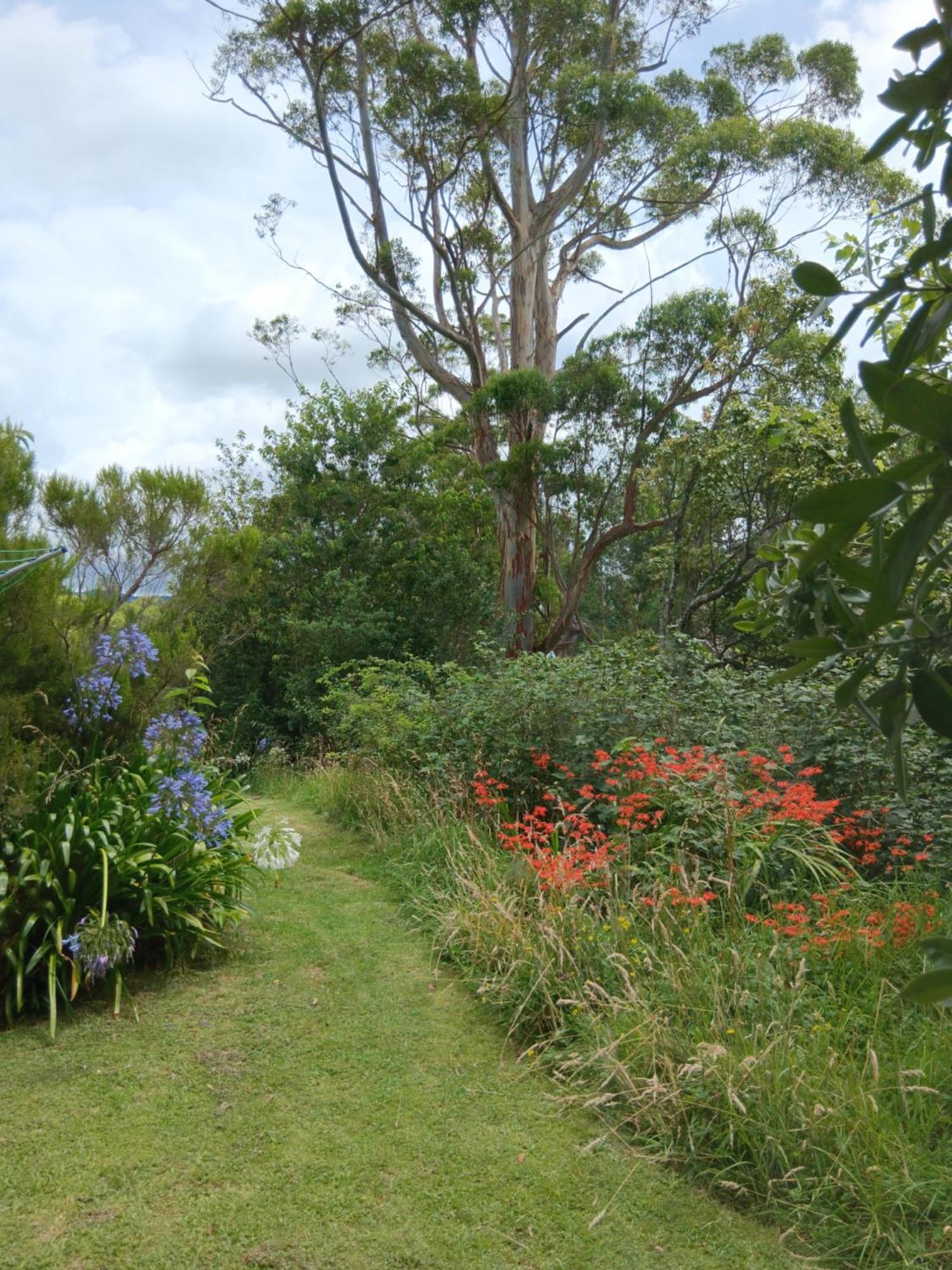 Purple Hen Country Lodge Katikati Eksteriør bilde