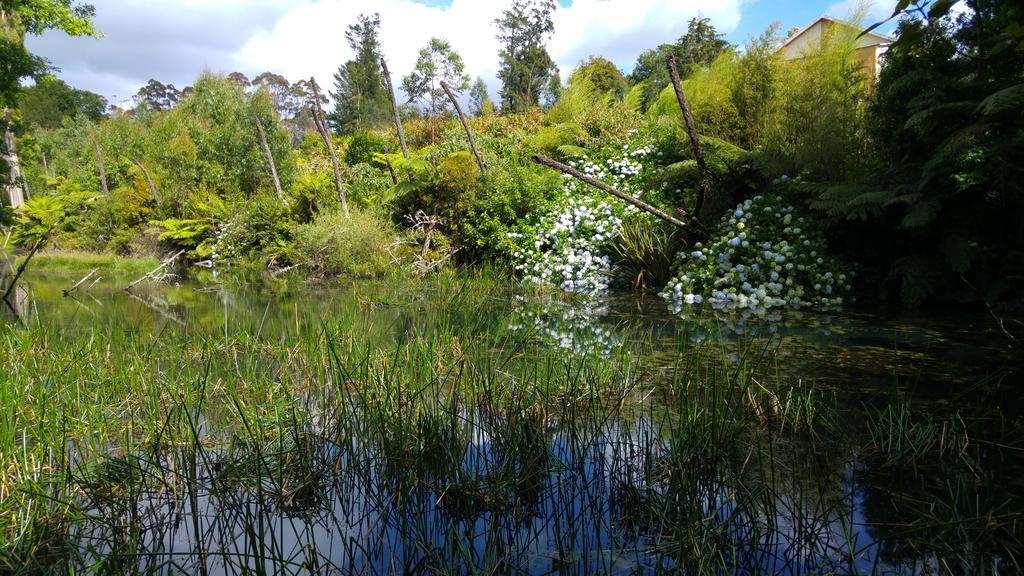 Purple Hen Country Lodge Katikati Eksteriør bilde