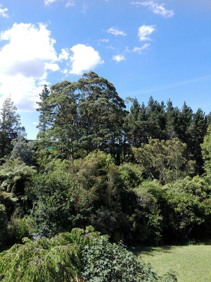 Purple Hen Country Lodge Katikati Eksteriør bilde